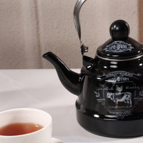 VETTA Ранчо Чайник эмалированный 1,1 л, 3 дизайна, индукция