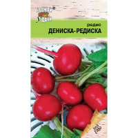 Редис Дениска-Редиска Урожай у дачи Ц