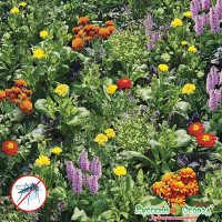 Газон Реппеленты для сада (цветущий) НК Ц