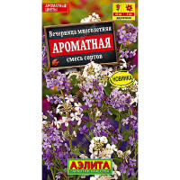 Вечерница Ароматная Аэлита Ц