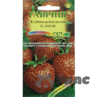 Клубника Лоран Гавриш Ц