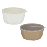 Салатник STOCKHOLM с крышкой 3,1л, пластик, 2 цвета