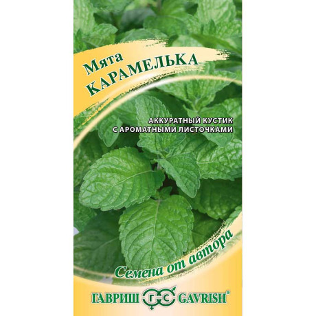 Мята Карамелька Гавриш Ц