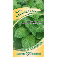 Мята Карамелька Гавриш Ц