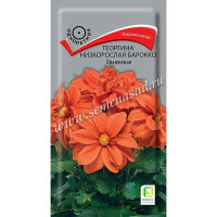Георгин Барокко Оранжевая Поиск Ц