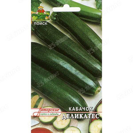Кабачок Деликатес Поиск Ц