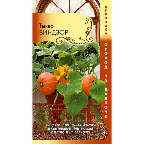 Тыква Виндзор Плазма Ц