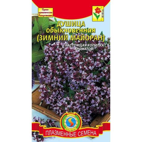 Душица обыкновенная Зимний майоран Плазма Ц