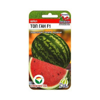 Арбуз Топ Ган СибСад Ц