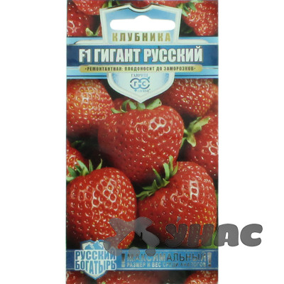 Клубника  Гигант русский Гавриш Ц