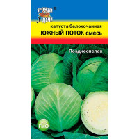 Капуста Южный поток Урожай у дачи Ц