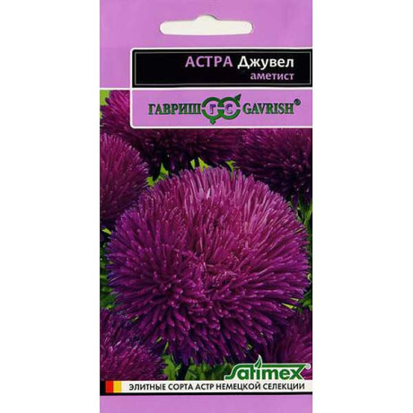 Астра Джувел Аметист Эксклюзив Гавриш Ц