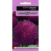 Астра Джувел Аметист Эксклюзив Гавриш Ц