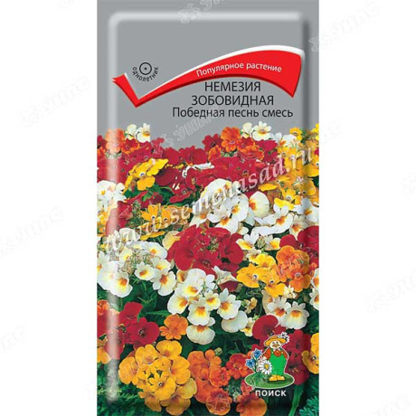 Немезия Победная песнь Поиск Ц