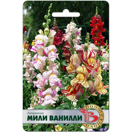 Антирринум Мили Ванилли Биотехника