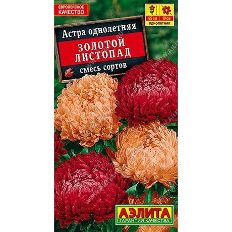 Астра Золотой листопад смесь Аэлита Ц
