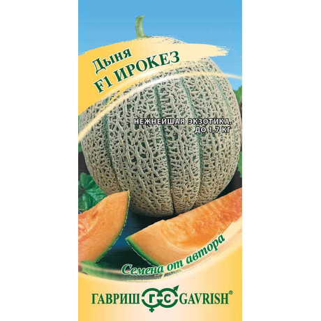 Дыня Ирокез Гавриш Ц