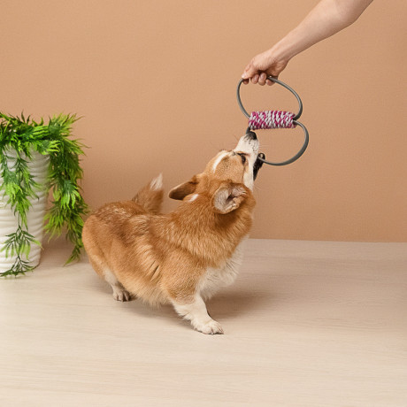 VETTA Игрушка для домашних животных, ТПР, 11х4,5 см