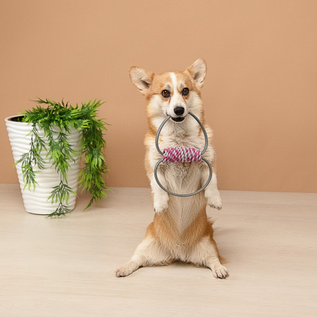 VETTA Игрушка для домашних животных, ТПР, 11х4,5 см