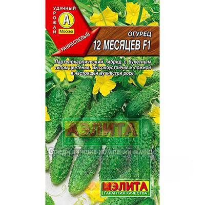 Огурец  12 месяцев  Аэлита Ц