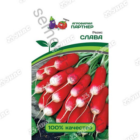 Редис Слава Партнер Ц