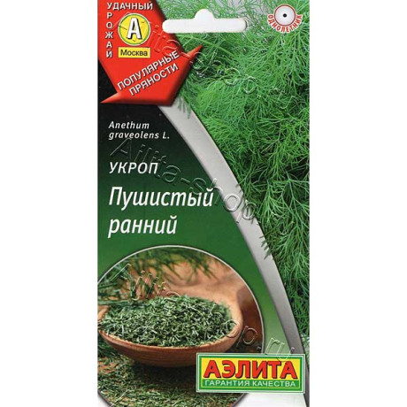 Укроп Пушистый ранний Аэлита Ц