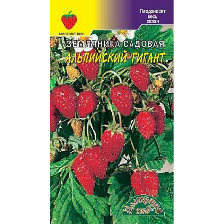 Земляника Альпийский Гигант ЦветСад Ц