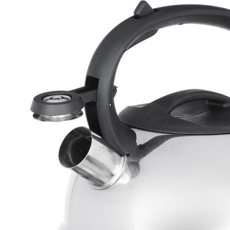 Чайник стальной 2.5л "Корсика" индукция