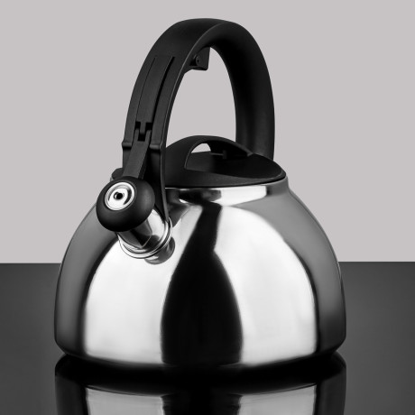 Чайник стальной 2.5л "Корсика" индукция