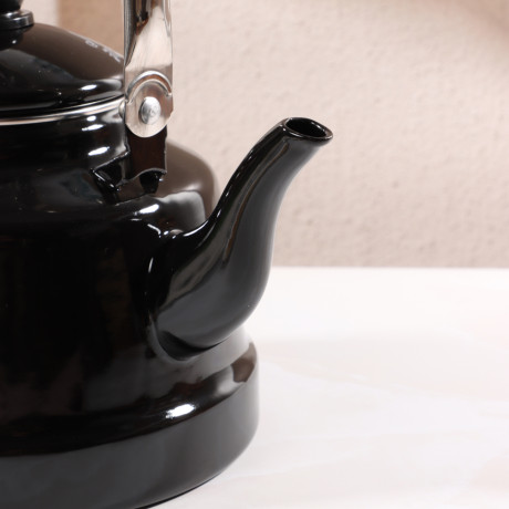 VETTA Ранчо Чайник эмалированный 2,5 л, 3 дизайна, индукция