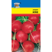 Редис Илке Урожай у дачи Ц