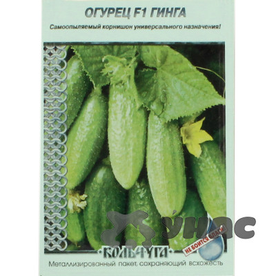 Огурец Гинга "Кольчуга" НК Ц