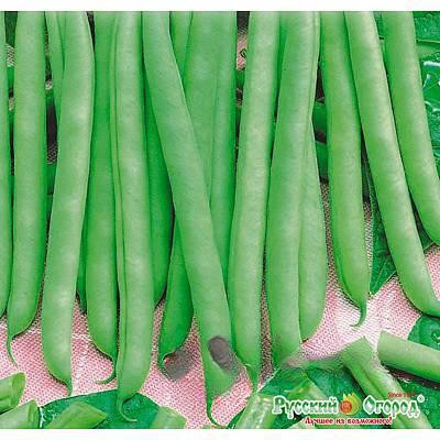 Фасоль Сакса без волокна "Кольчуга" НК Ц