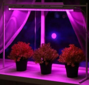 Ultraflash фито св-к св/д для рассады и раст 9W 10мкмоль/с, кр-синий, выкл. L=570 LWL-2014-04CL