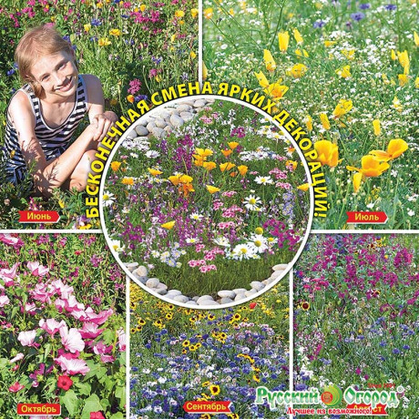 Газон Мавританский Калейдоскоп 30г НК Ц