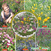 Газон Мавританский Калейдоскоп 30г НК Ц