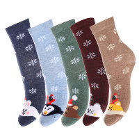 GALANTE Носки новогодние, р.23-25, 70% полиэстер, 30% хлопок, 5 дизайнов