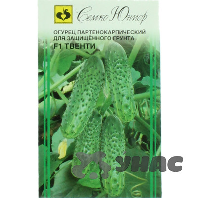 Огурец Твенти Семко Ц