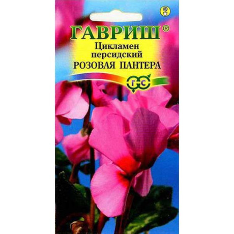 КОМ Цикламен Розовая пантера Гавриш Ц