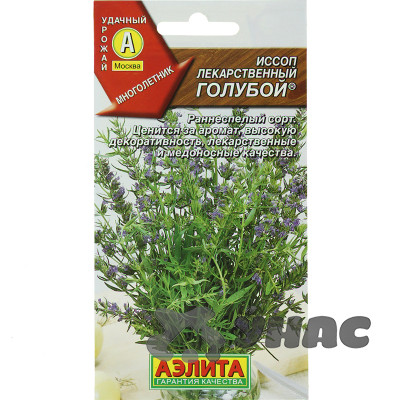 Иссоп лекарственный голубой Аэлита Ц x10