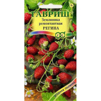 Земляника Регина Гавриш Ц