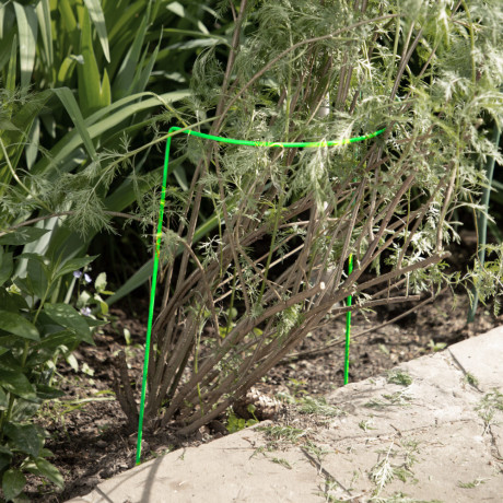 Кустодержатель круг 0.8 м, высота 0.9 м. 2 шт, D трубы 10 мм