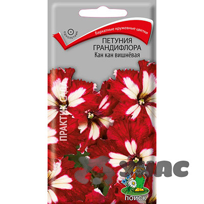 Петуния Кан Кан вишневая Поиск Ц