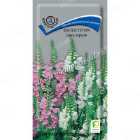 Физостегия  Смесь окрасок Поиск Ц