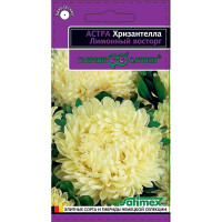 Астра Хризантелла Лимонный восторг Гавриш Ц