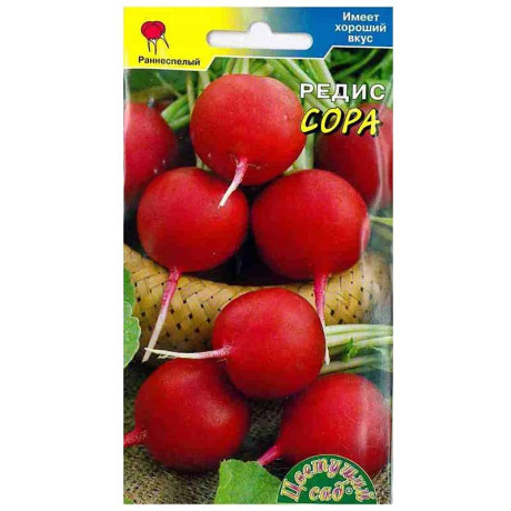 Редис Сора СибСад х10