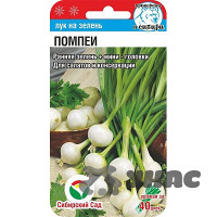 Лук на зелень Помпеи СибСад Ц