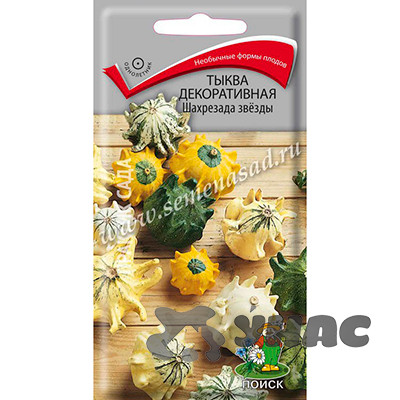 Тыква декор. Шахрезада звезды Поиск Ц