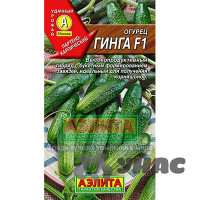 Огурец Гинга Аэлита Ц