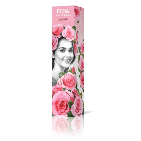 Роза флорибунда Европа Садовита